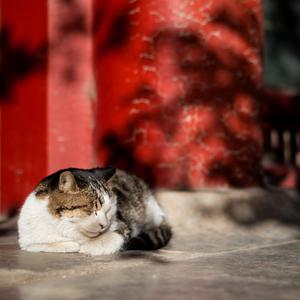 免费看黄做爱视频
