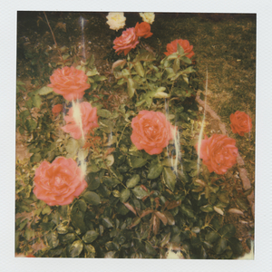 免费看黄做爱视频
