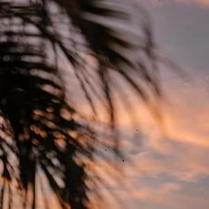 免费看黄做爱视频
